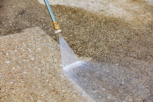 Best Dumpster Area Cleaning  in St Leo, FL