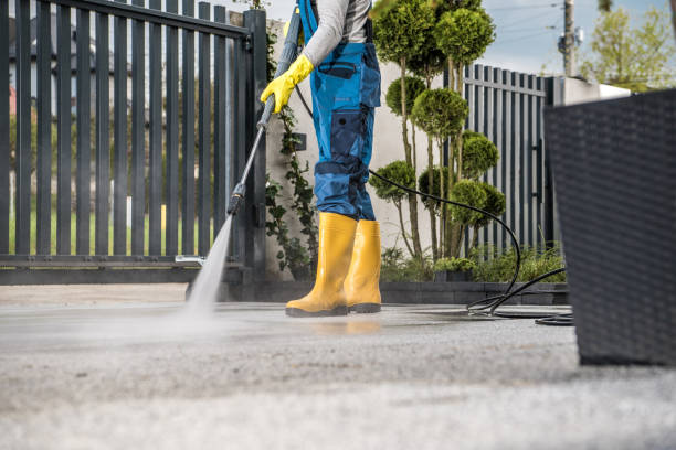 Best Rust Removal  in St Leo, FL