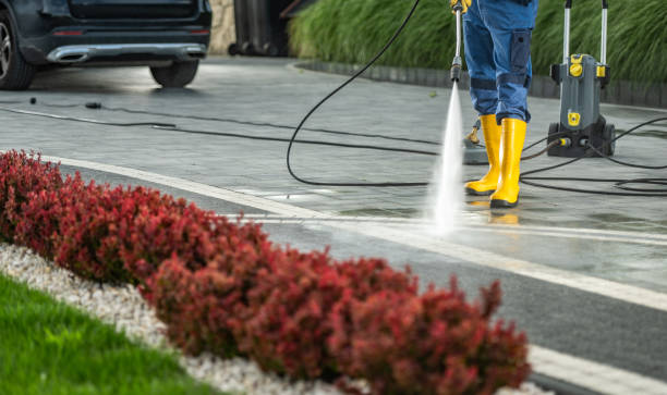 Best Factory Floor Cleaning  in St Leo, FL