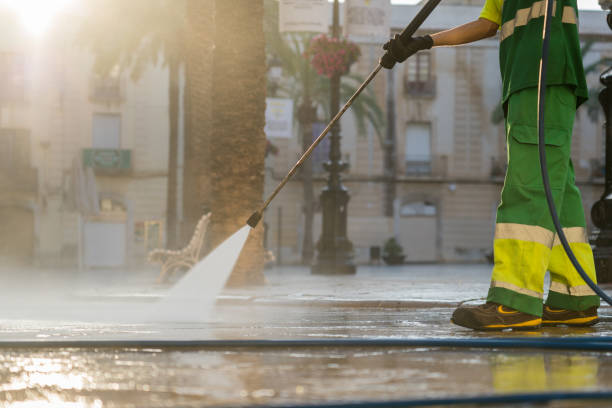 Best Roof Washing  in St Leo, FL